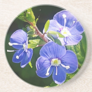 Three Blue Flowers Coaster