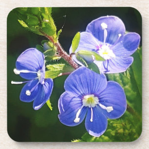 Three Blue Flowers Coaster