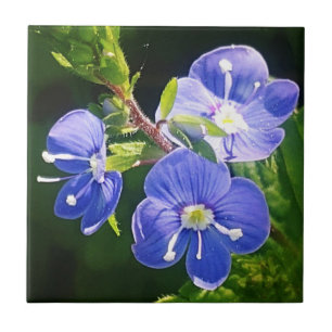 Three Blue Flowers Tile