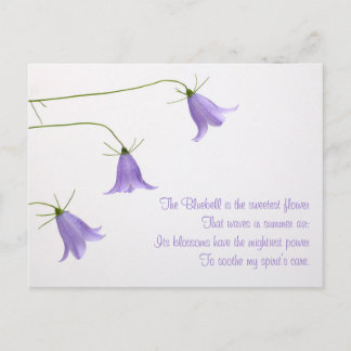 Three bluebells photo with a poem postcard