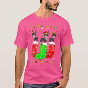 Three Boston Terrier In Christmas Socks Matching X T-Shirt