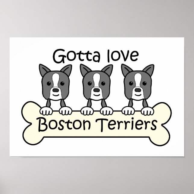 Three Boston Terriers Poster (Front)