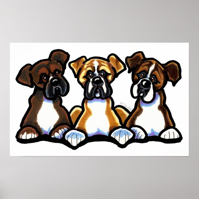 Three Boxers Poster (Front)