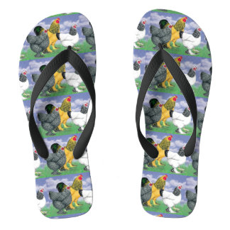 Three Brahmas Jandals
