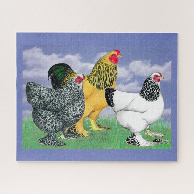 Three Brahmas Jigsaw Puzzle (Horizontal)