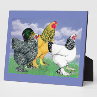 Three Brahmas Plaque