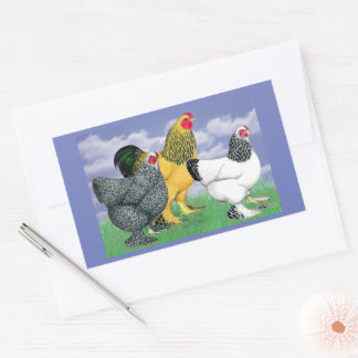 Three Brahmas Rectangular Sticker