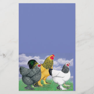 Three Brahmas Stationery