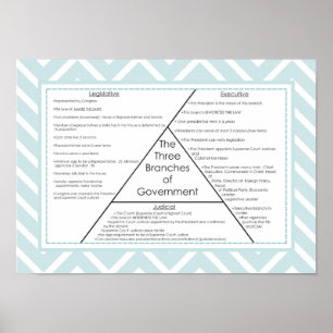 Three Branches of Government Poster