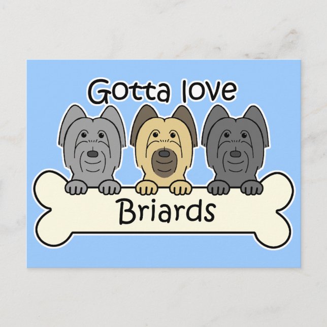 Three Briards Postcard (Front)