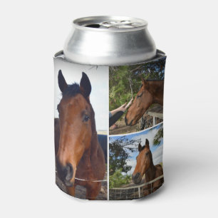 Three Brown Horses, Can Cooler