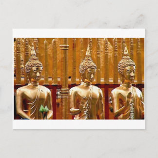 Three Buddhas in Thailand Postcard