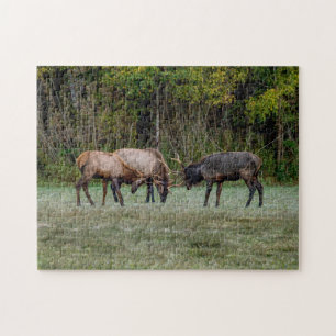 Three Bull Elk Fight Jigsaw Puzzle