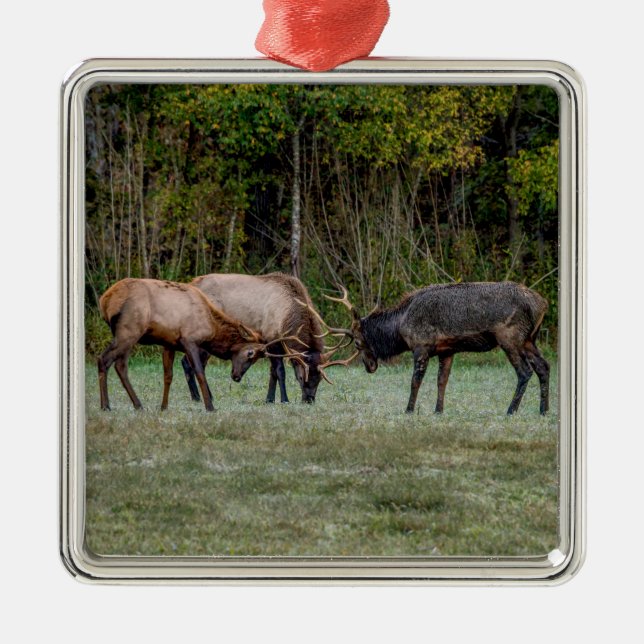 Three Bull Elk Fight Metal Tree Decoration (Front)