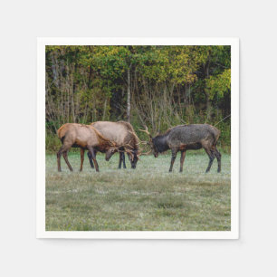 Three Bull Elk Fight Napkin