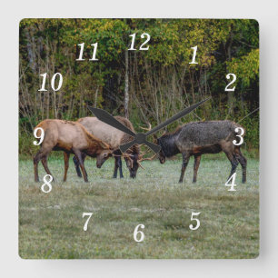 Three Bull Elk Fight Wall Clock