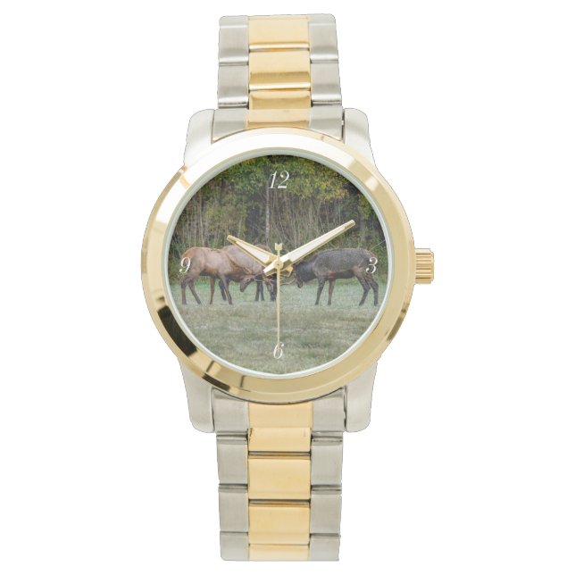 Three Bull Elk Fight Watch (Front)
