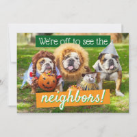 Three Bulldogs in Costumes