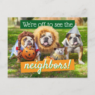 Three Bulldogs in Costumes Invitation Postcard