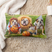 Three Bulldogs in Costumes