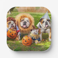 Three Bulldogs in Costumes