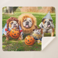 Three Bulldogs in Costumes