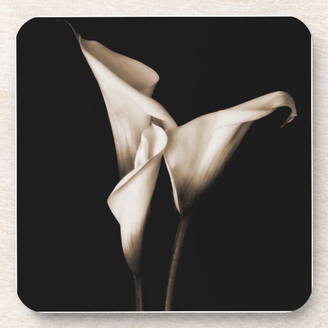 Three Calla Lilies Coaster (Front)