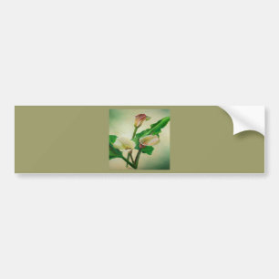 Three Calla Lilies Stunning Botanical Acrylic Bumper Sticker