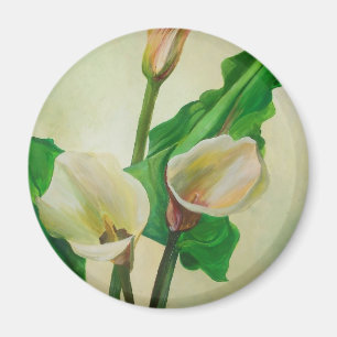 Three Calla Lilies Stunning Botanical Acrylic  Magnet