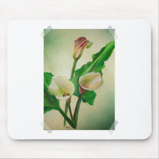 Three Calla Lilies Stunning Botanical Acrylic  Mouse Pad