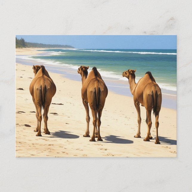 Three Camels on the beach in Mombasa Kenya Postcard (Front)