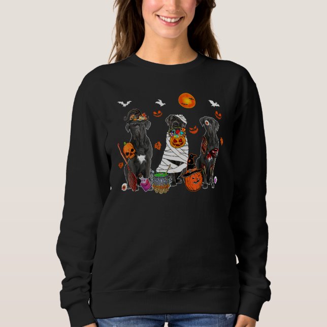 Three Cane Corso Dogs Witch Scary Mummy Halloween Sweatshirt (Front)