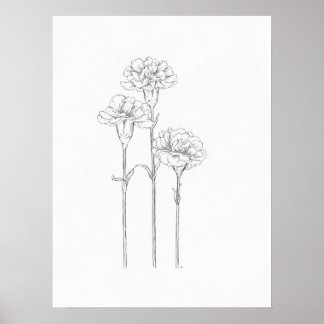 Three Carnations Sketch Art Print