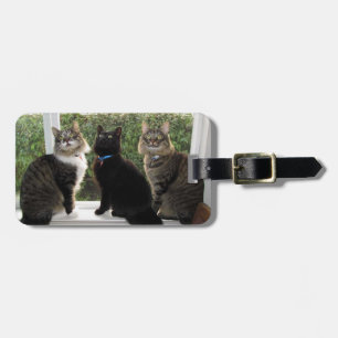 Three Cat Friends Luggage Tag