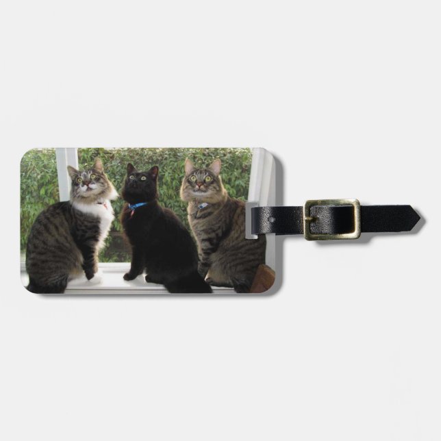 Three Cat Friends Luggage Tag (Front Horizontal)