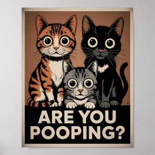 three Cats & a Question Are You Pooping? Funny Cat Poster