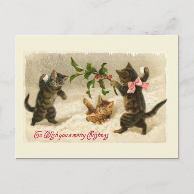 Three cats and a Holly branch Holiday Postcard (Front)