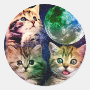 Three cats and the moon classic round sticker