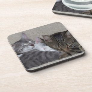 Three Cats Coasters