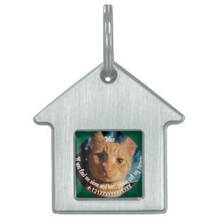 Three Cats Photos, Personalized Christmas Pet ID Tag