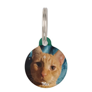 Three Cats Photos, Personalized Christmas Pet Tag