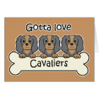 Three Cavalier King Charles Spaniels