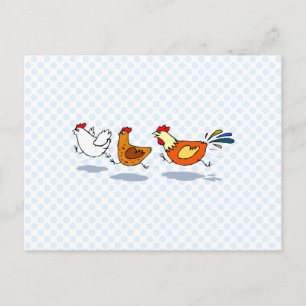 Three Chicks Postcard