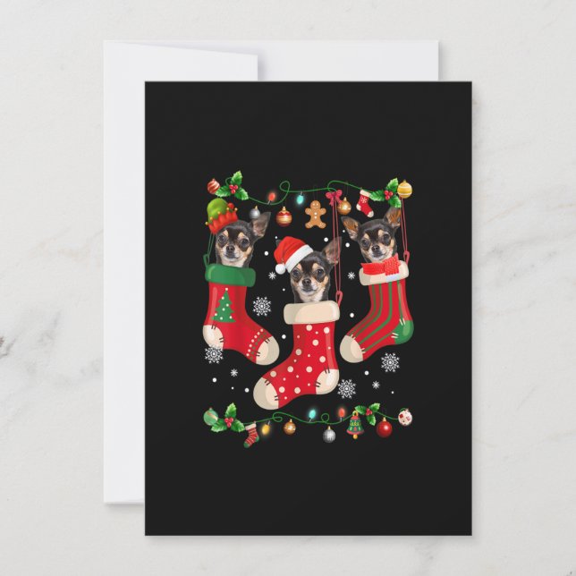 Three Chihuahua In Sock Christmas Santa X-mas Dog Invitation (Front)