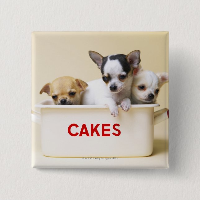 Three chihuahua puppies in cake tin 15 cm square badge (Front)