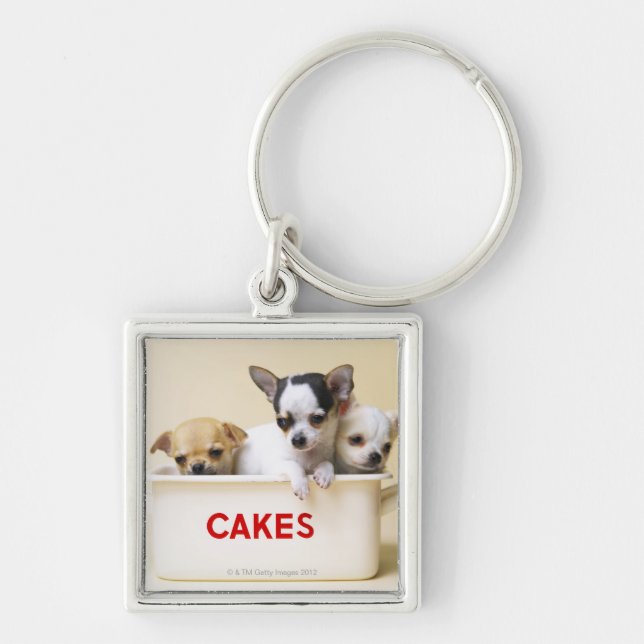 Three chihuahua puppies in cake tin key ring (Front)