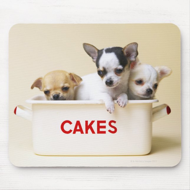 Three chihuahua puppies in cake tin mouse pad (Front)