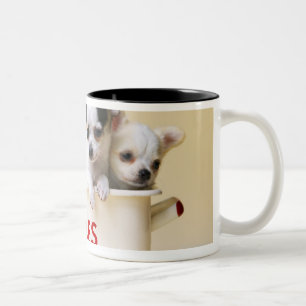 Three chihuahua puppies in cake tin Two-Tone coffee mug