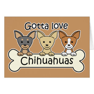 Three Chihuahuas