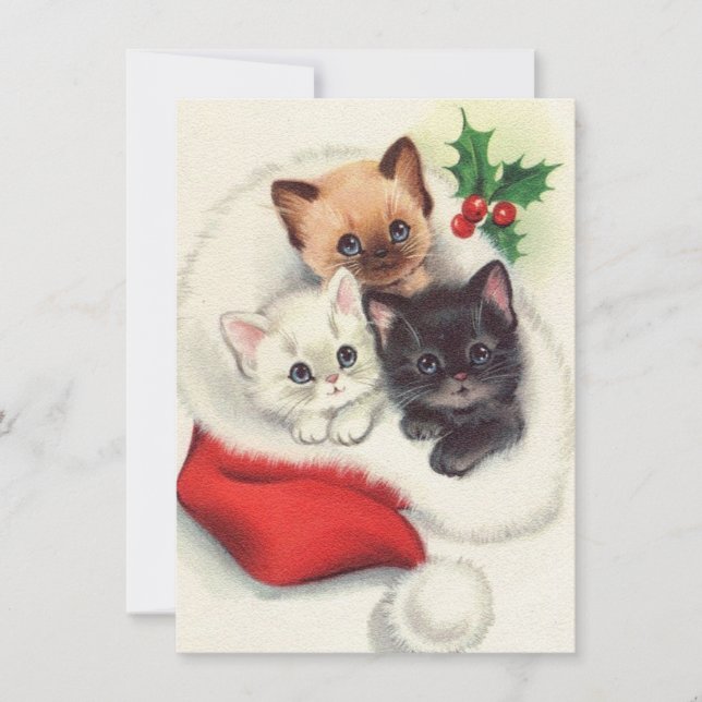 Three Christmas Vintage Kittens In Stocking Holiday Card (Front)